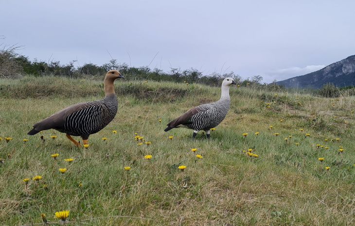 La flora y fauna se hacen presentes en el lugar. La flora y fauna se hacen presentes en el lugar.