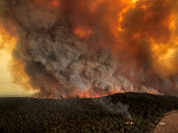 Moodys&nbsp;advirti&oacute; que los incendios forestales, exacerbados por el cambio clim&aacute;tico, causar&aacute;n desaf&iacute;os crediticios a largo plazo.