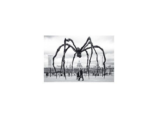 En marzo se inaugura en Proa la muestra «Louise Bourgeois: el retorno de lo reprimido», acompañada por la edición de dos volúmenes especiales sobre la obra de la artista franco-norteamericana.