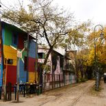 Los tonos amarillos y rojizos transforman los espacios verdes en escenarios únicos. Los tonos amarillos y rojizos transforman los espacios verdes en escenarios únicos.