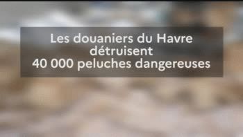 Francia destruyó 40.000 leones y perros de peluche, procedentes de China