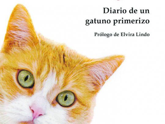 espec Libro.jpg