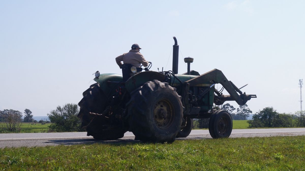 The Rural Federation once again demands greater competitiveness for the sector