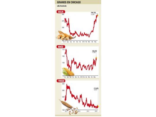 Maíz y soja, de nuevo en alza