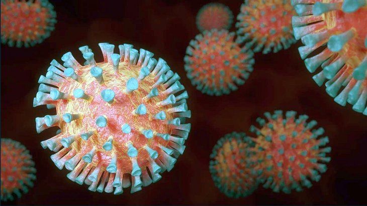 OMS advierte que el coronavirus causante de la Covid-19 podría volverse endémico. 