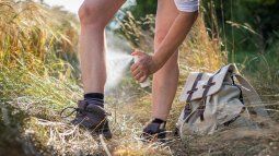 The department of Salto would exempt mosquito repellent from VAT. The department of Salto would exempt mosquito repellent from VAT.