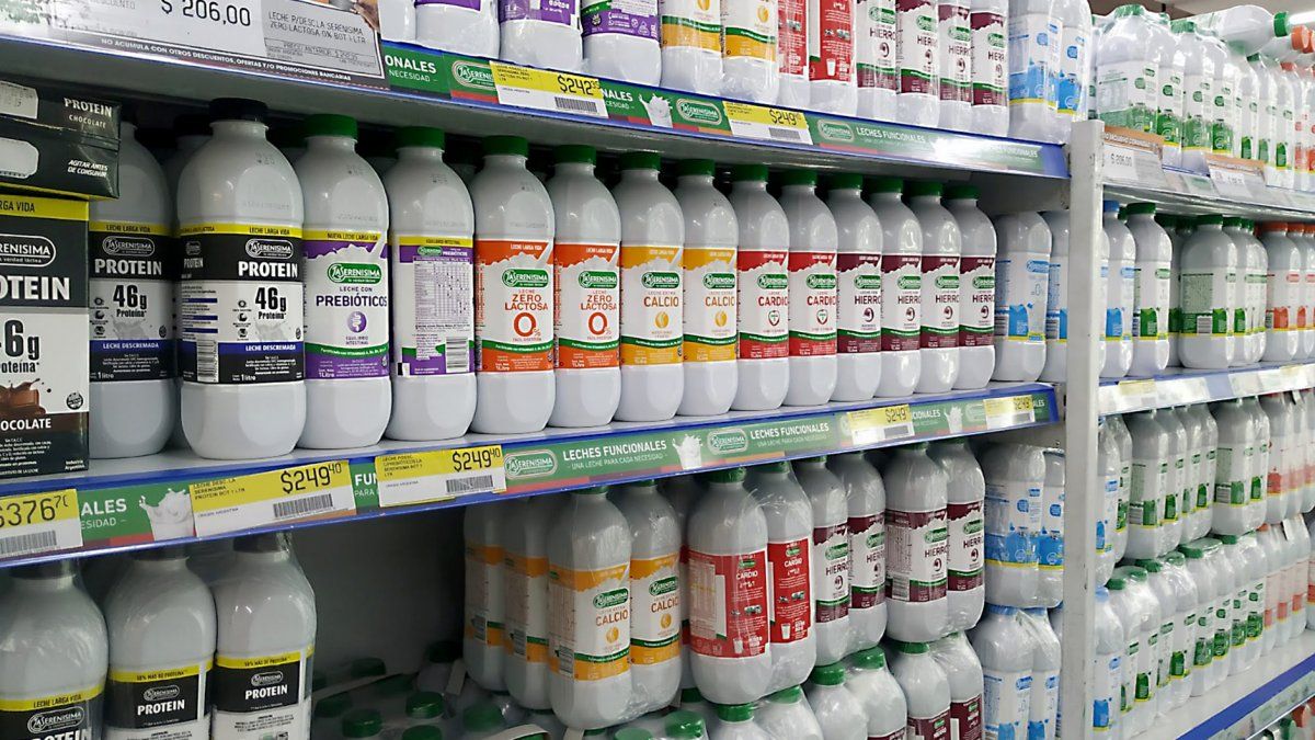 Government extends the suspension of export duties on dairy products