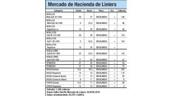 Ingresaron 1.339 animales a Liniers