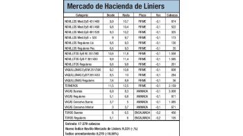 Retrocedió el 7,8% mercado vacuno