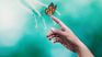 What is there after death? The Netflix docuseries seems to have the answer What is there after death? The Netflix docuseries seems to have the answer