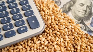 La Federación Rural destacó las fortalezas del agro ante el acuerdo Mercosur–UE. La Federación Rural destacó las fortalezas del agro ante el acuerdo Mercosur–UE.