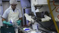 Trabajadores del sector lácteo exigen al gobierno frenar cierres y despidos.