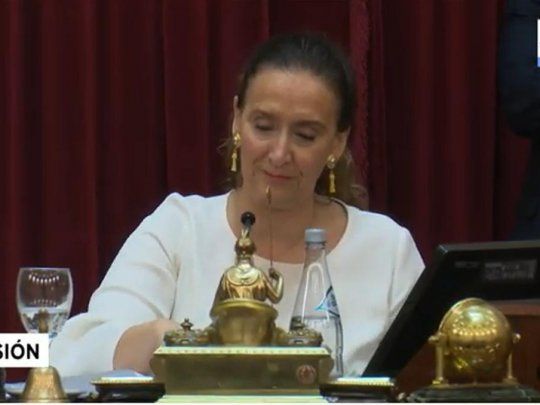 Michetti se despidió del Senado.&nbsp;