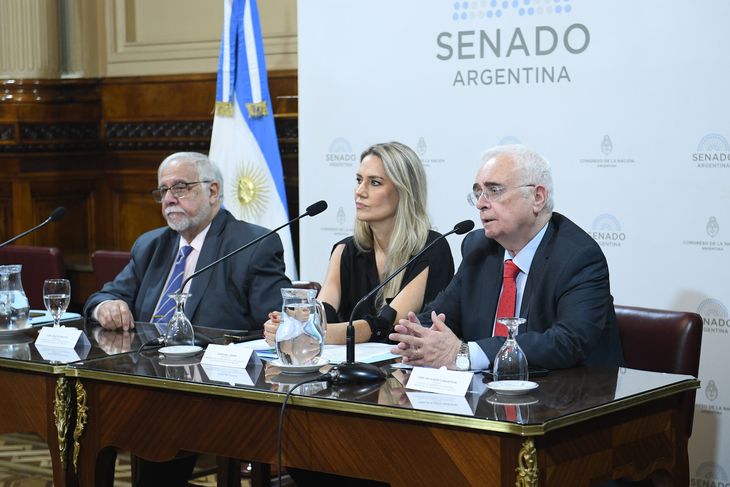 Carlos Manfroni, funcionario del Ministerio de Seguridad, junto a autoridades de las comisiones del Senado durante el debate de ley Antimafias.