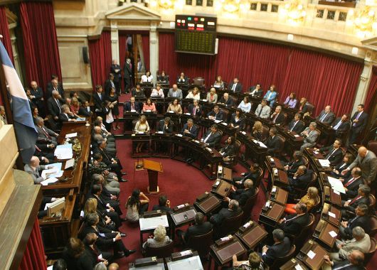 El Senado de la Nación renovó la mitad de sus 72 legisladores en los comicios de octubre. (Foto: Diego Kovaccic)