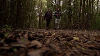 viajes de cercania: naturaleza, sabores y relax a 50 minutos del obelisco