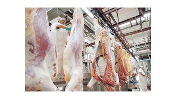 Tras el acuerdo comercial firmado con China, el ministro de Agricultura, Julián Domínguez, estimó que se podrían exportar hasta 5.000 toneladas de carne a ese país en los próximos doce meses.