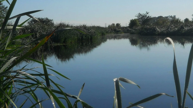 Reserva Natural Laguna de Rocha.