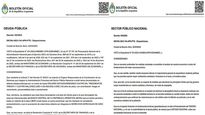 la letra chica de los dnu que habilitan a organismos publicos desprenderse de bonos en dolares