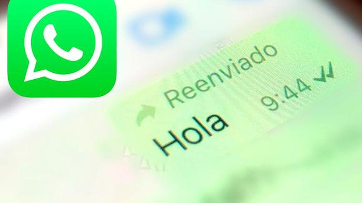 Cómo Reenviar Un Mensaje De Whatsapp Sin Que Salga La Etiqueta De Reenviado 0081