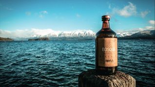 Un gin patagónico es el mejor del país