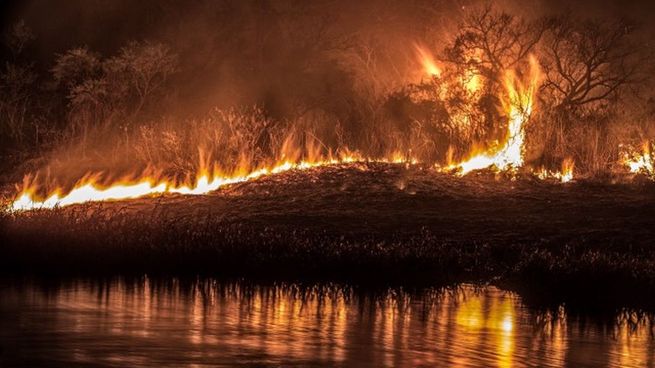 incendio en río paraná.jpg
