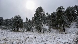Checa la situación del clima en México. Checa la situación del clima en México.