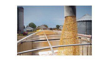 La Bolsa de Cereales de Buenos Aires proyectó una producción de 21,4 millones de toneladas de maíz 2009/2010.