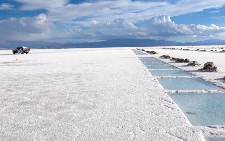 cia. introductora le saca mas que agua a las piedras