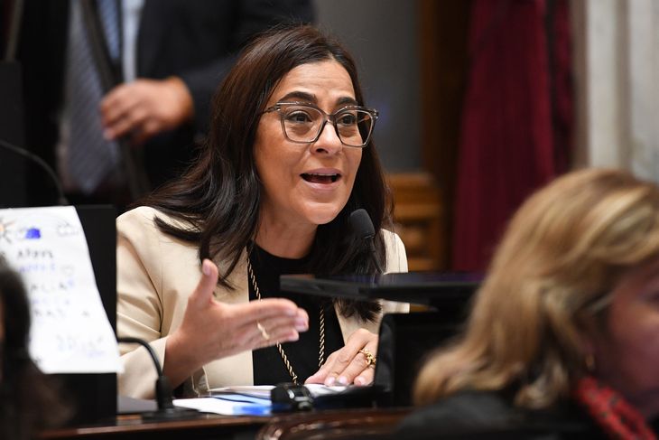 La senadora Carolina Moisés apuntó contra el Presidente.
