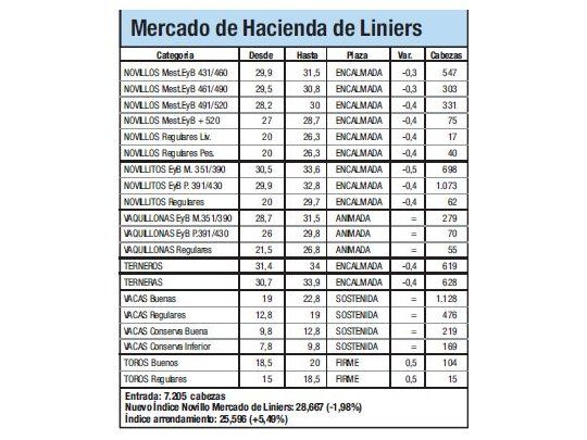 Mercado de Liniers: Novillo subió 5,4%
