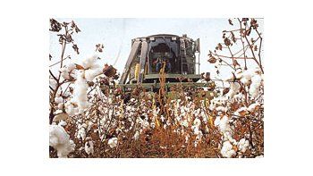 Por medio de una resolución de la Secretaría de Agricultura, se aprobó la tecnología BG/RR de la multinacional Monsanto.