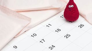 La licencia menstrual, un derecho previsto en pocos países