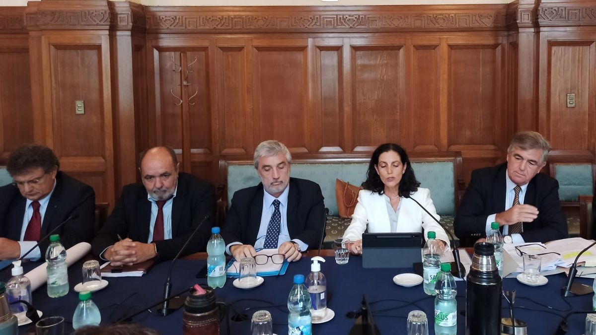Arbeleche defends in Parliament the purchase of scanners for Customs