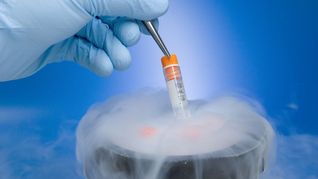 El fallo de la Corte de Alabama consideró que los embriones congelados deben ser considerados niños. 
