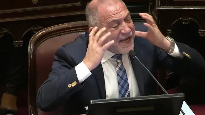 Luis Juez durante su intervención en el Senado.