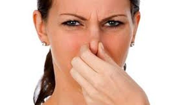 Como eliminar los malos olores utilizando productos caseros y naturales