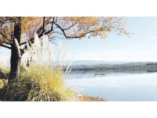 Naturaleza pura en El Trapiche