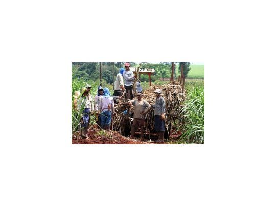 Entre los 17 países con menor calificación están Argelia, Congo, Libia, Corea del Norte, Arabia Saudita y Siria.