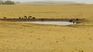 The agricultural emergency had been extended until September 23. The agricultural emergency had been extended until September 23.