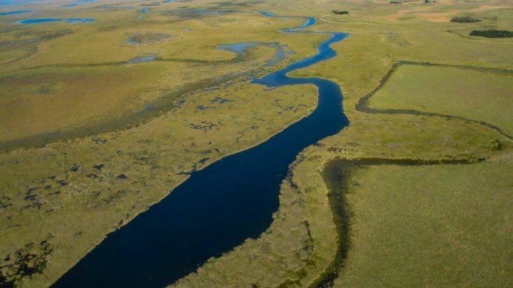 Iberá Wetlands. Iberá Wetlands.