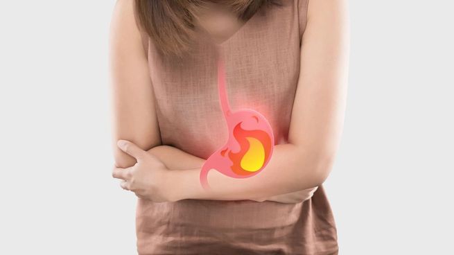 Según la Universidad de Harvard, hay cinco alimentos que son sustancialmente peligrosos para el estómago humano.