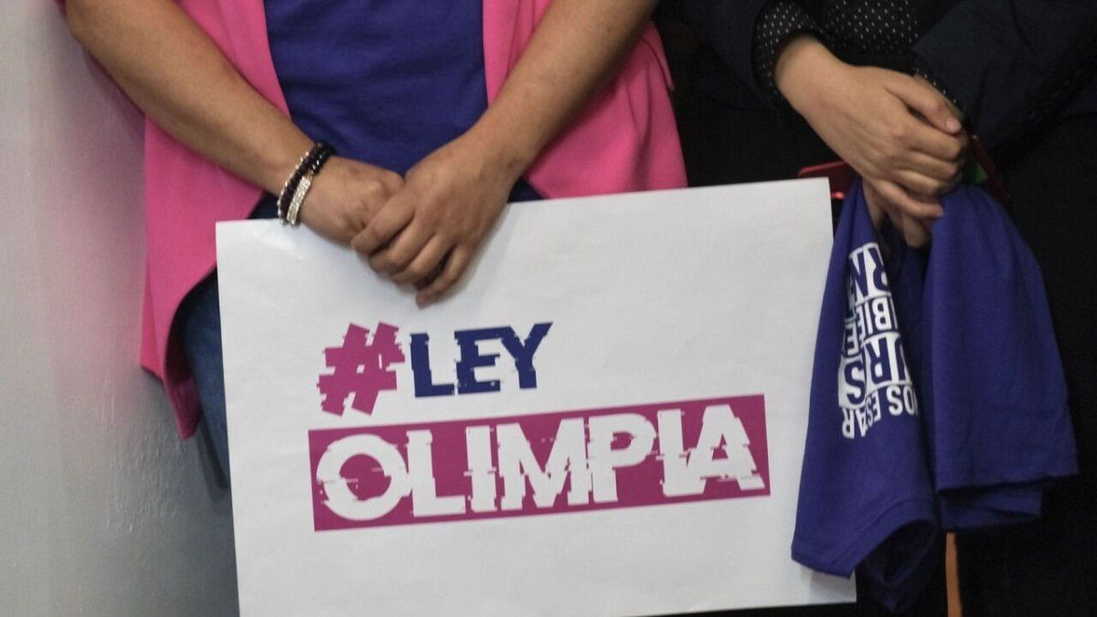 Olimpia Law: the operation of the first measure against digital violence