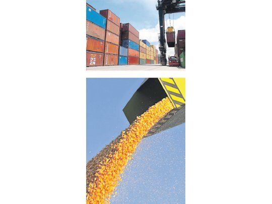 Los porcentajes de la composición de las exportaciones en el período enero-septiembre, en valores, fueron: un 55,4% para los subproductos oleaginosos, un 35% para aceites, un 7% para lácteos, un 2,3% para harinas y un 0,4% para el azúcar.