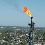 La Teja retomó sus operaciones tras casi dos meses sin funcionar y pérdidas millonarias. La Teja retomó sus operaciones tras casi dos meses sin funcionar y pérdidas millonarias.