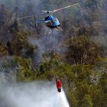 Neuquén reporta diversos incendios forestales activos. Neuquén reporta diversos incendios forestales activos.