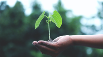 Ir hacia un progreso más amigable con el medioambiente es vital para evitar la crisis.
