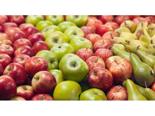 Se desplomaron más del 17% las exportaciones de peras y manzanas