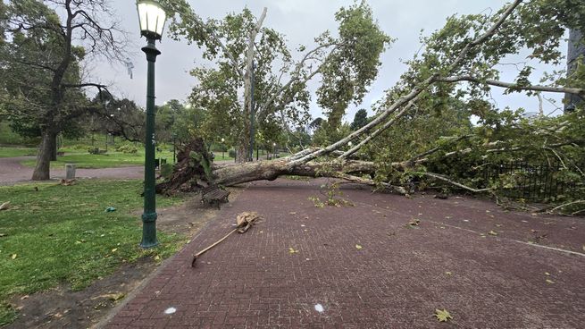 La tormenta avanzó desde el oeste con lluvias intensas y ráfagas de viento que alcanzaron los 80 km/h.&nbsp;