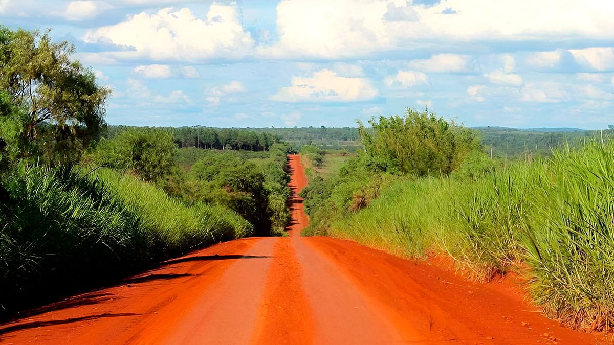 CAF grants million-dollar loan for the conservation of the Misiones rainforest